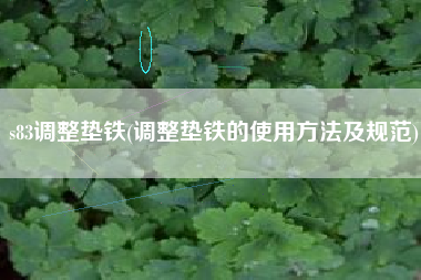 s83<a href='http://www.qfbzcoh.cn/jichuangdiantiexilie/' target='_blank' title='調整墊鐵' ><strong>調整墊鐵</strong></a>(調整墊鐵的使用方法及規(guī)范)